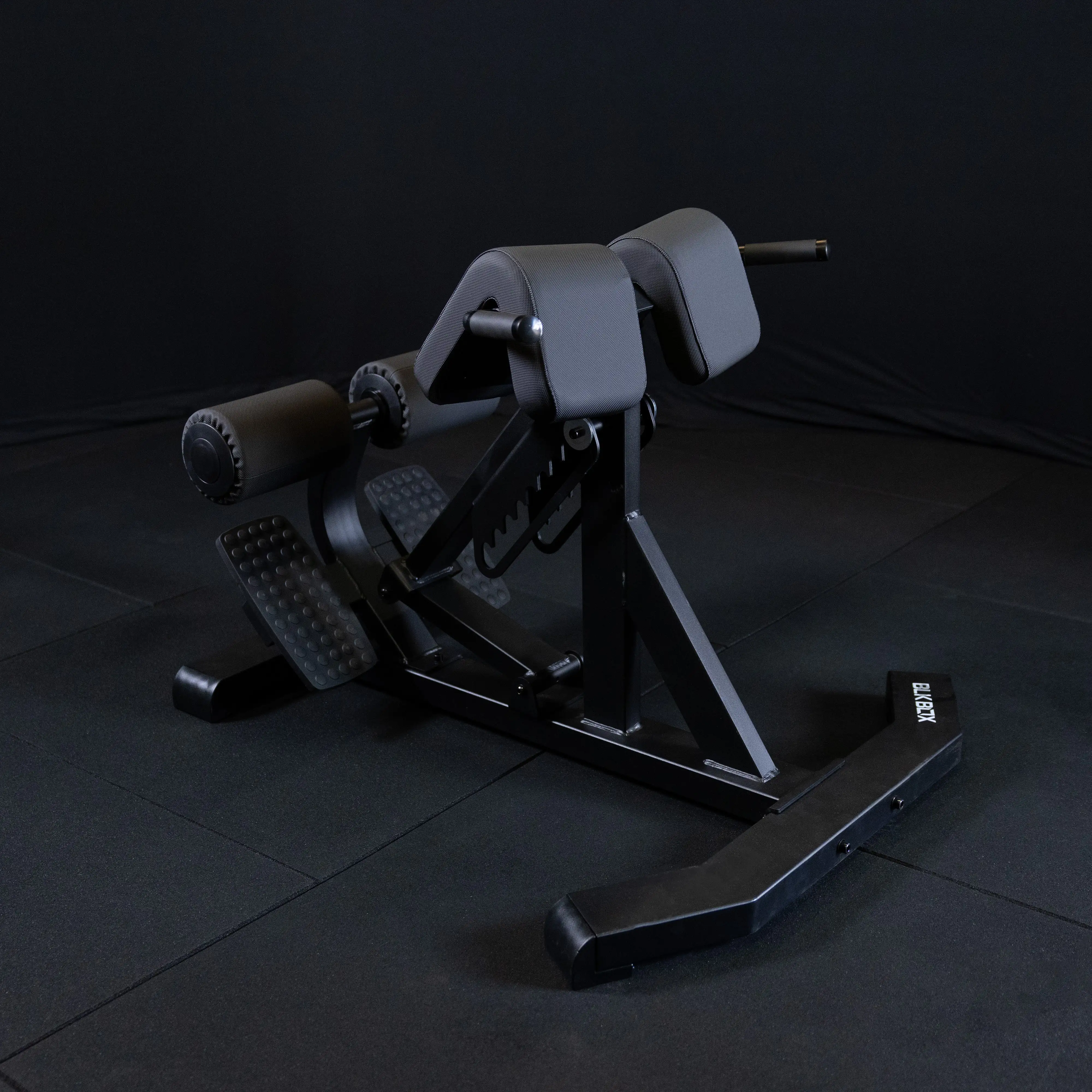 Back Extension - Image 10