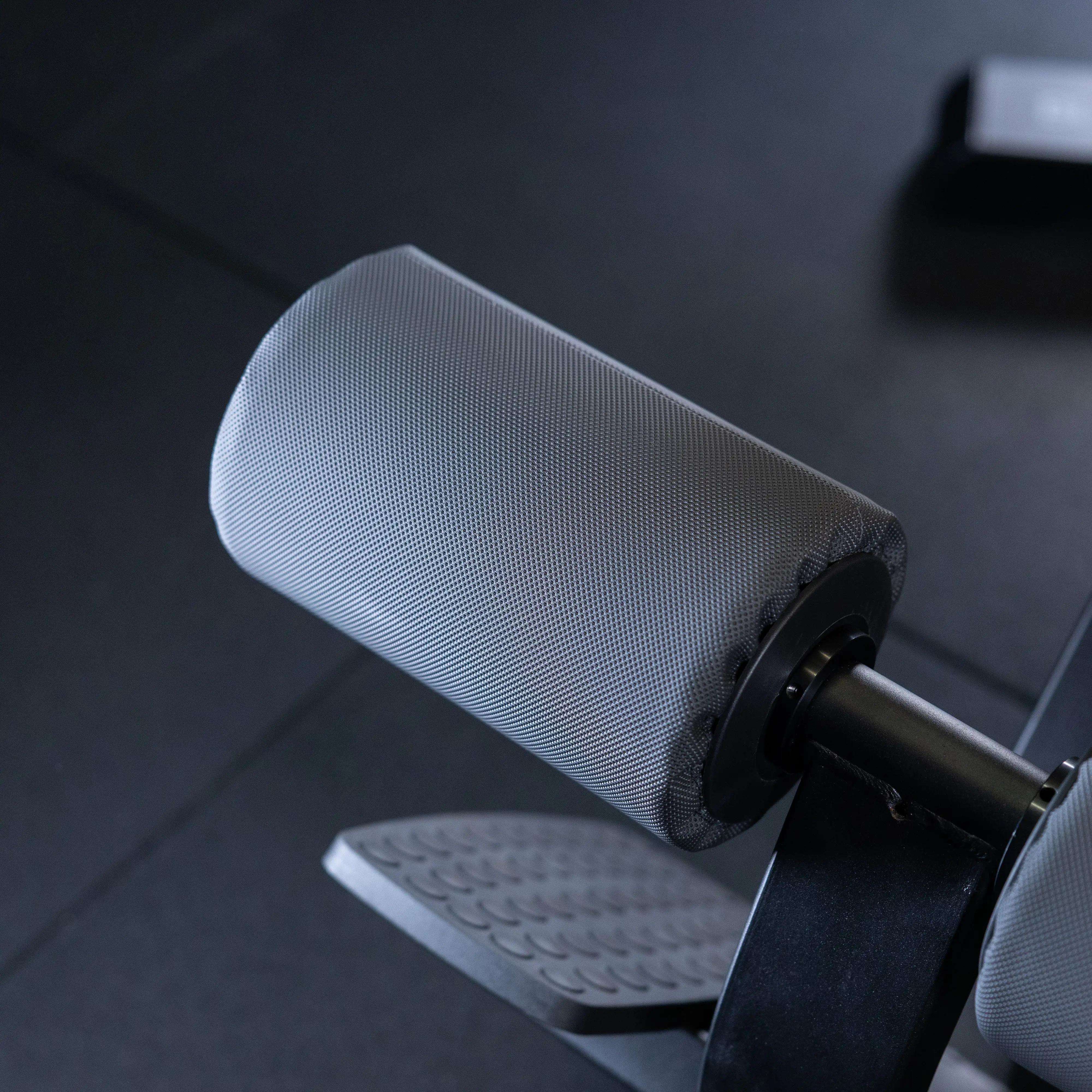 Back Extension - Image 11