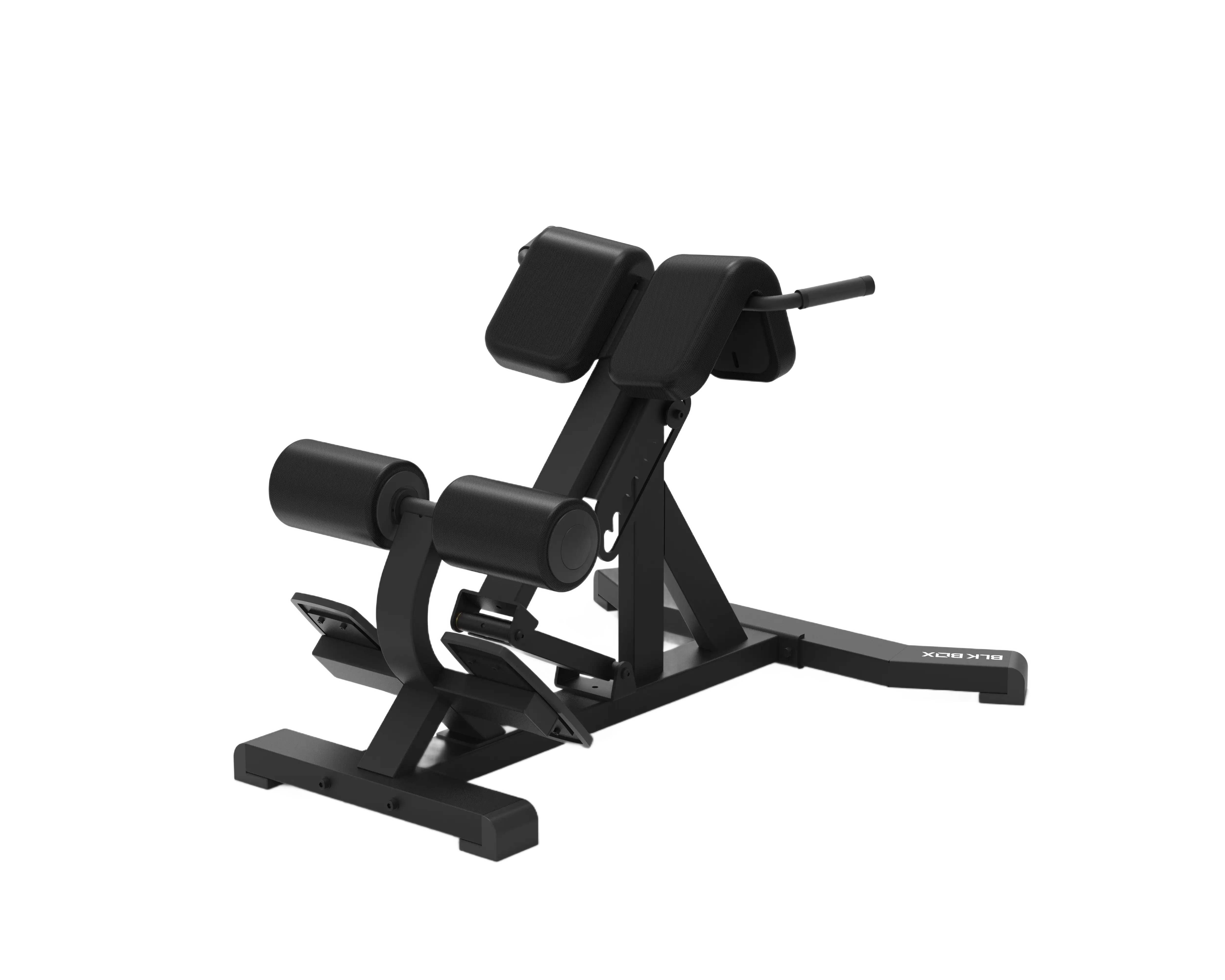 Back Extension - Image 2
