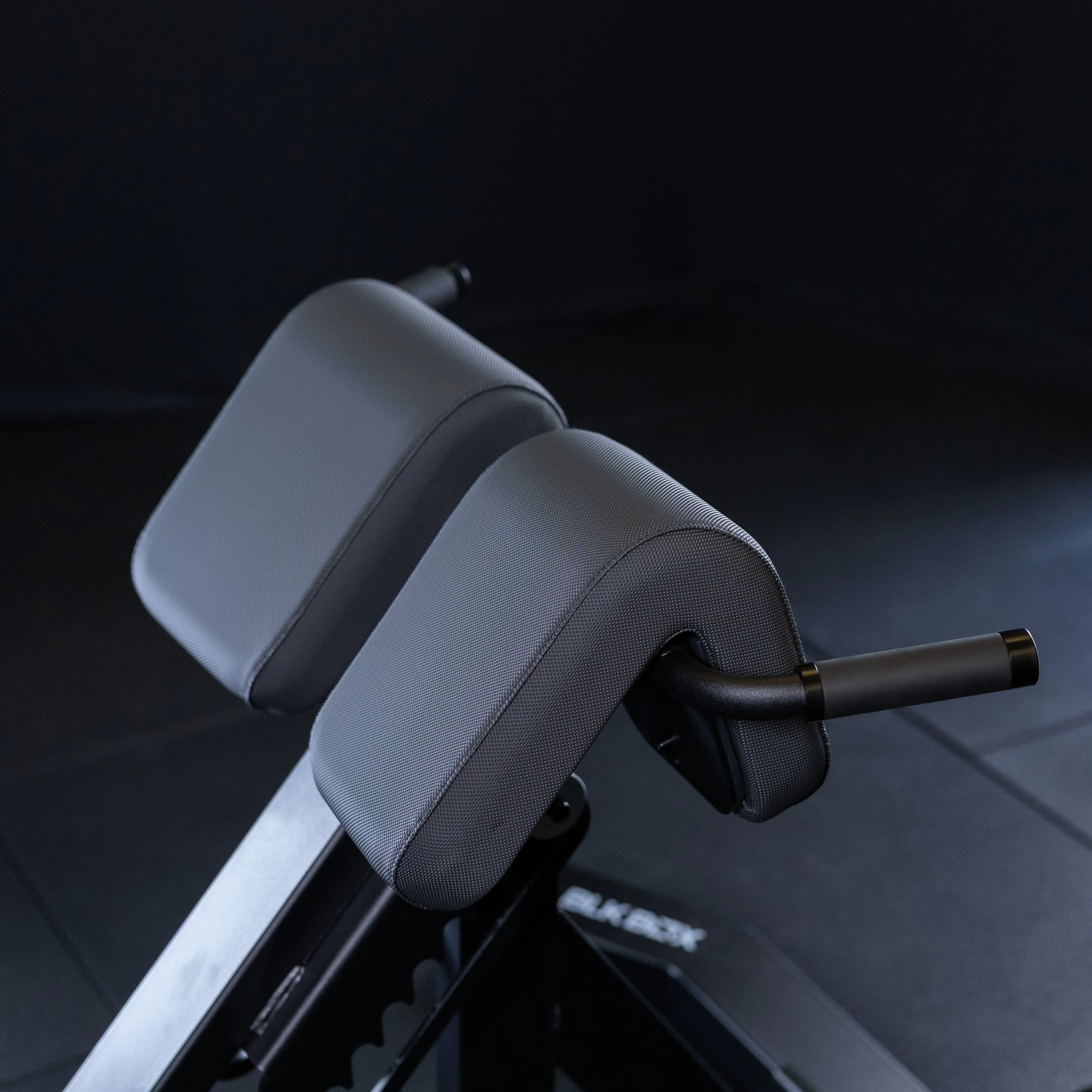 Back Extension - Image 5