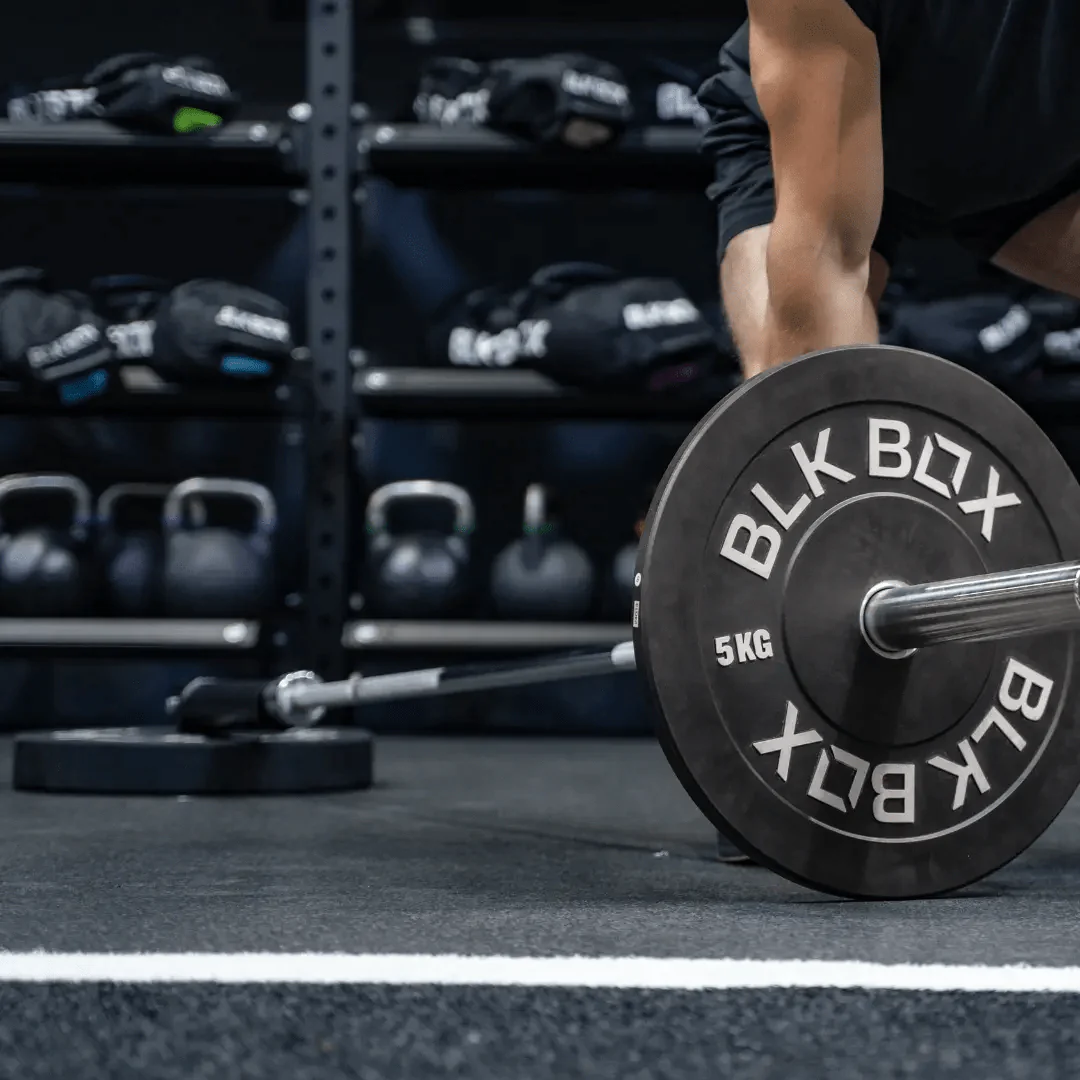 Bumper Plate Landmine - Image 4