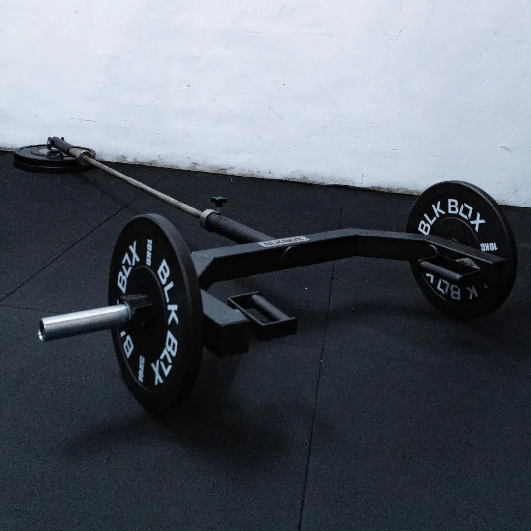 Bumper Plate Landmine - Image 6