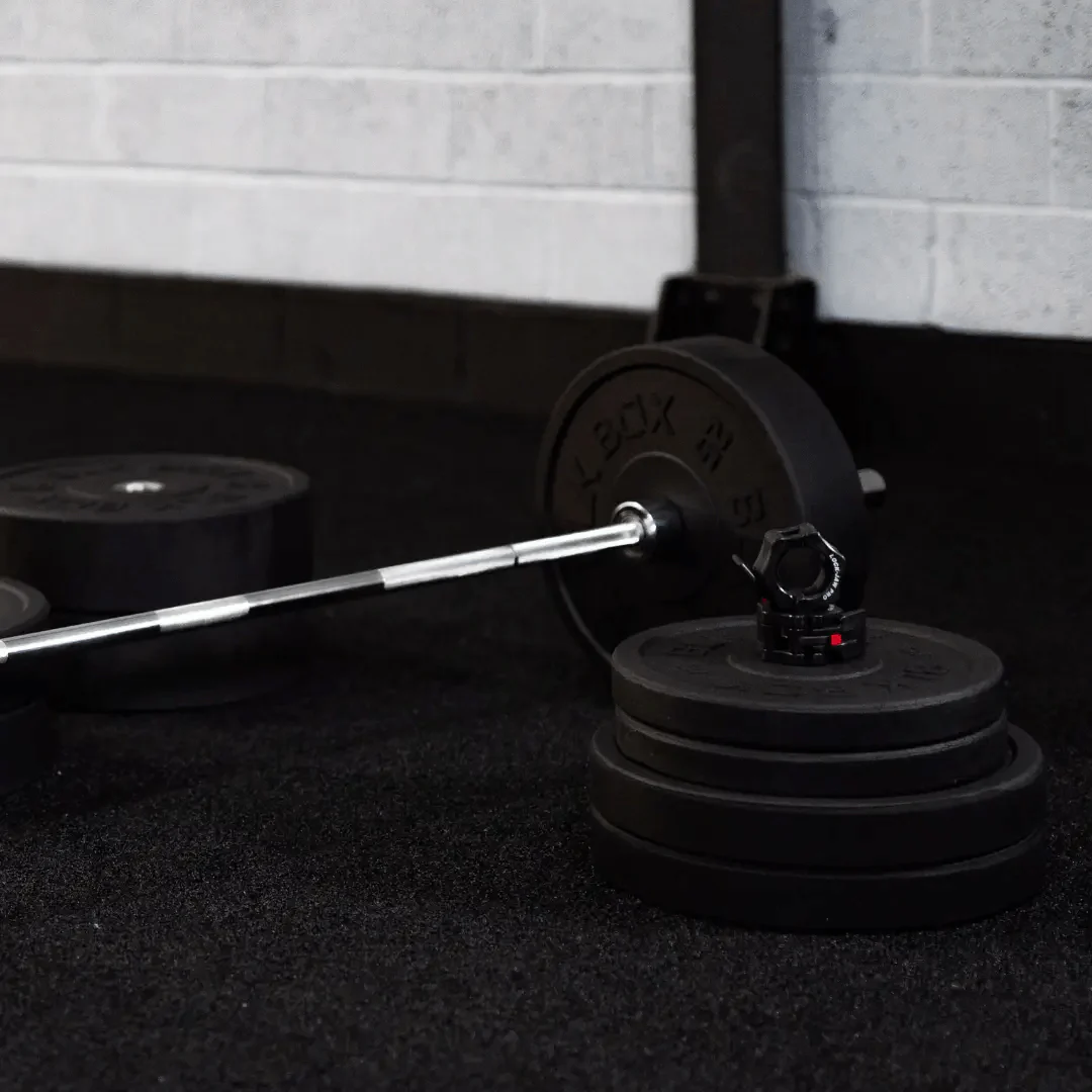 Heavy Duty Impact Bumper Weight Plates - Image 5