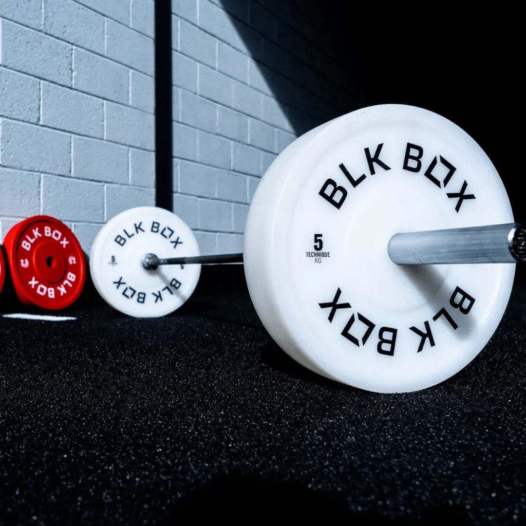 Oversized Technique Weight Plates - Image 3