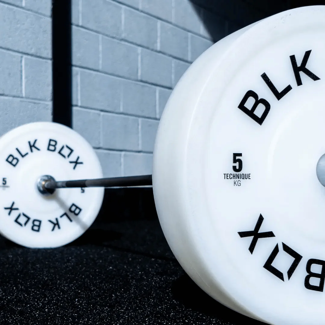 Oversized Technique Weight Plates - Image 7