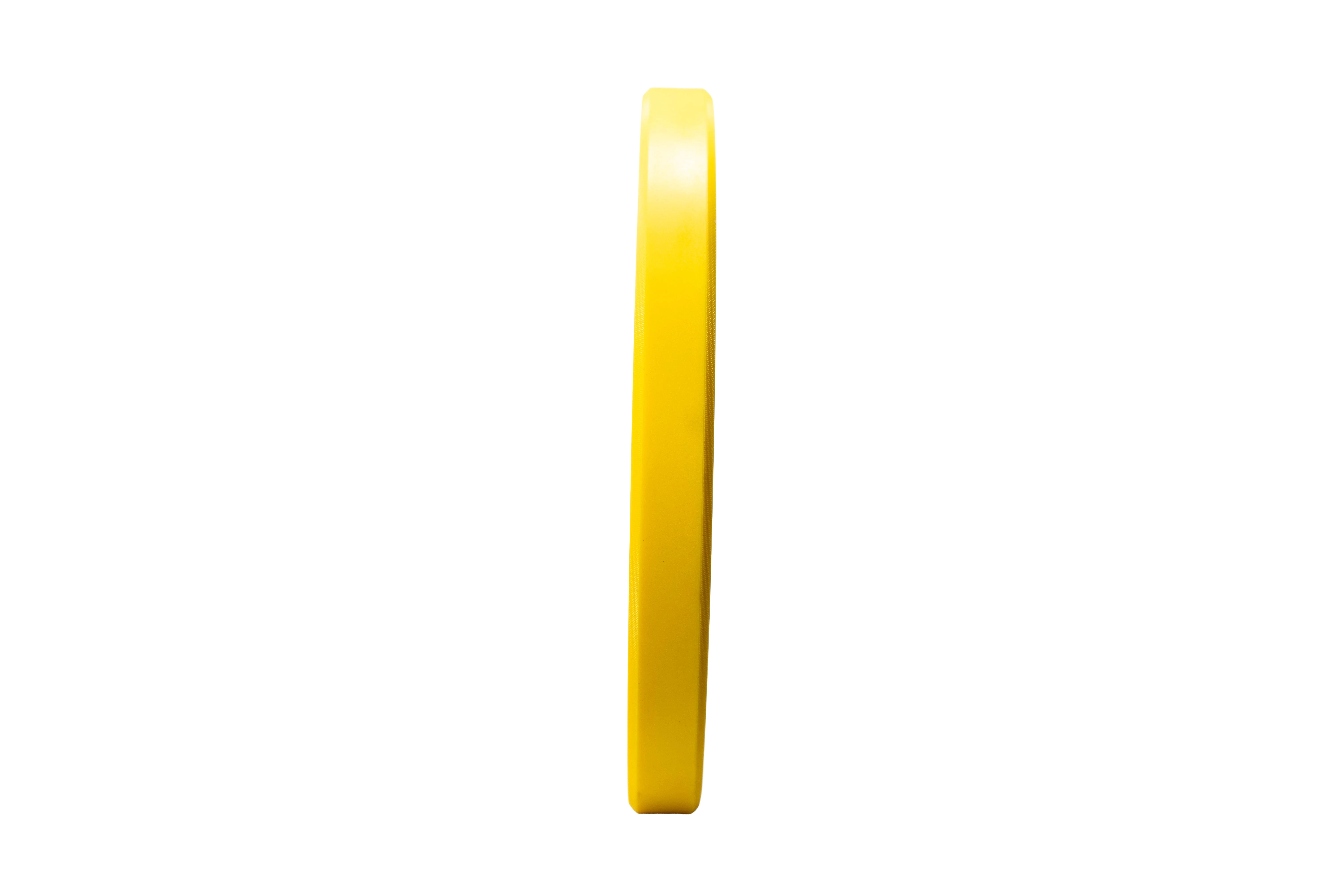 Coloured Urethane Weight Plates - Image 6