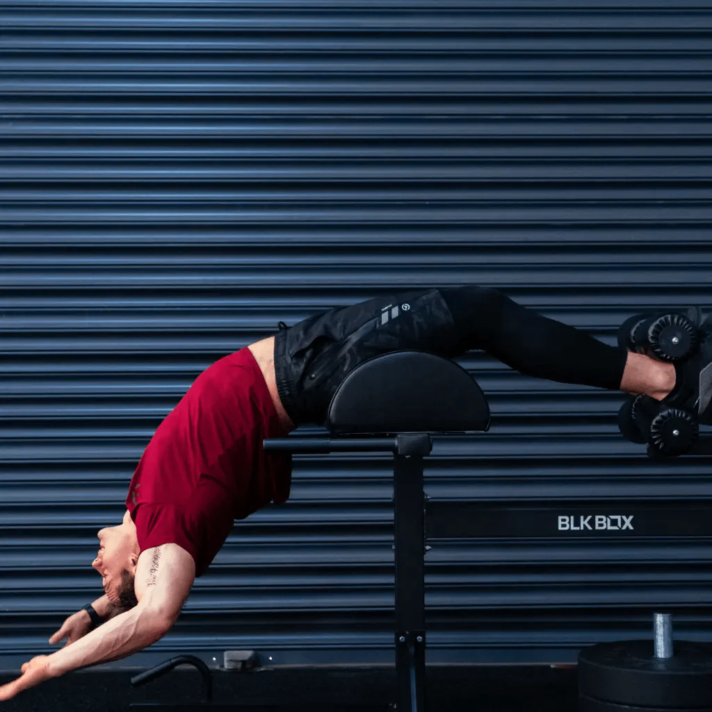Glute Ham Developer (GHD) - Image 5