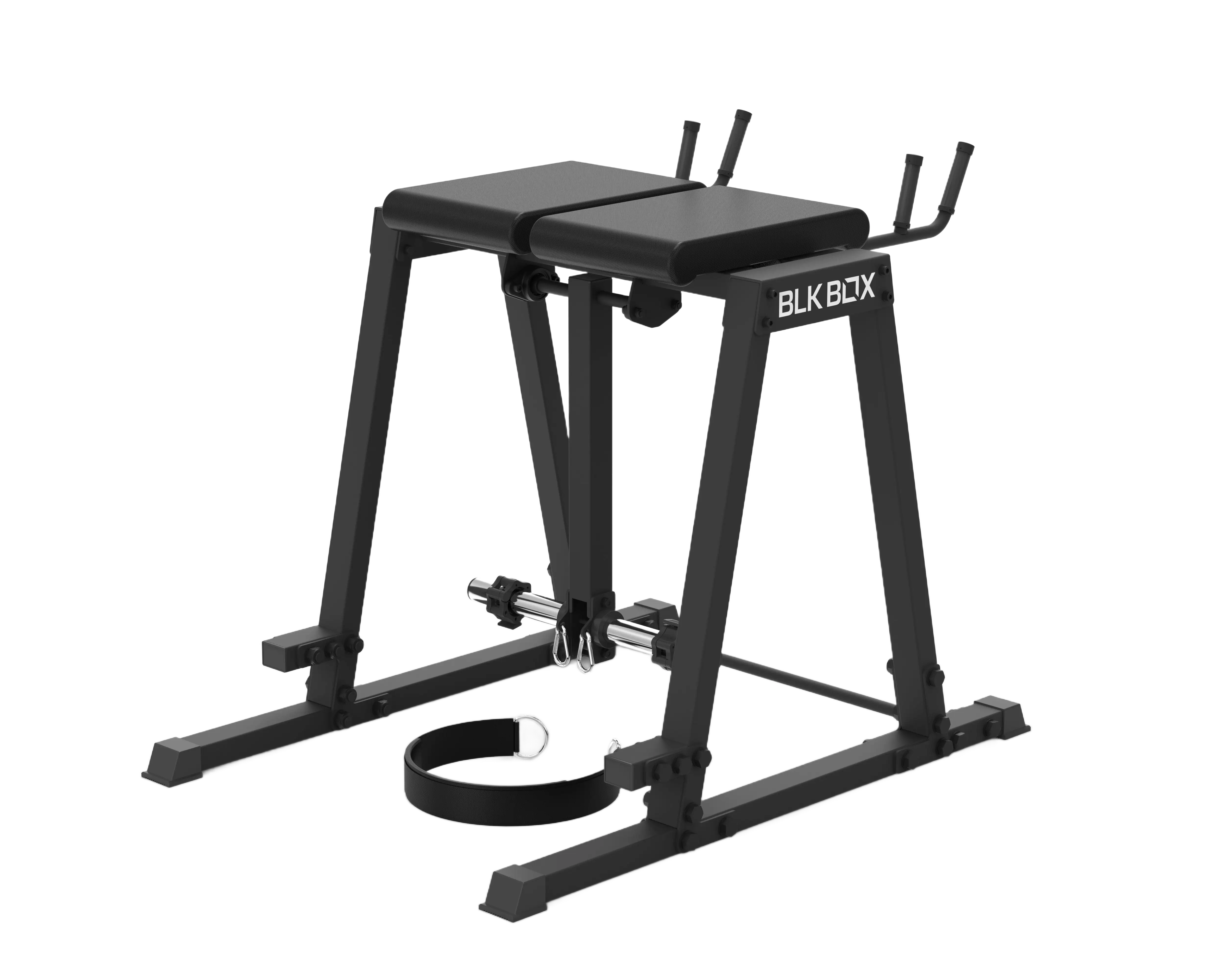 Reverse Hyper Extension