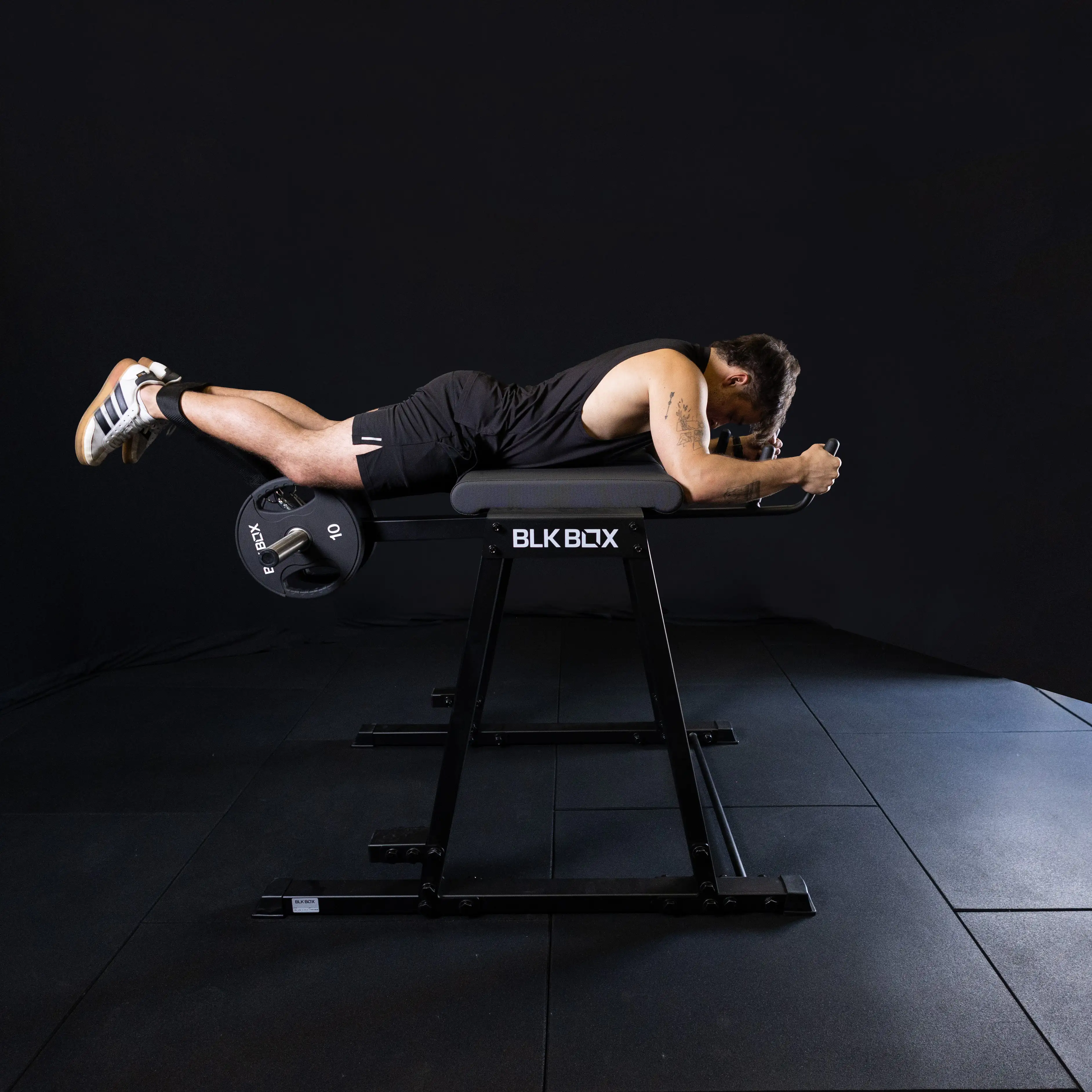 Reverse Hyper Extension - Image 10