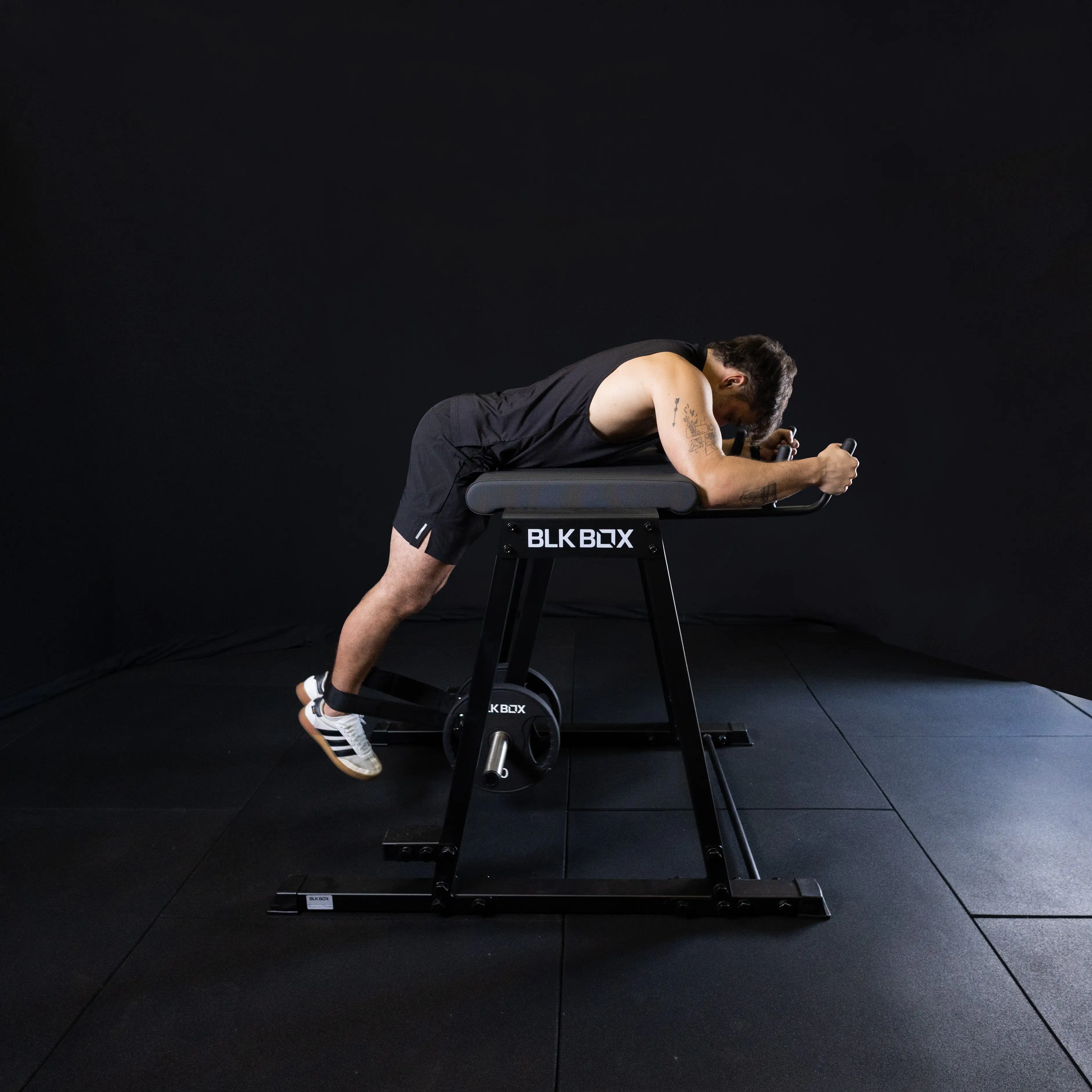 Reverse Hyper Extension - Image 2