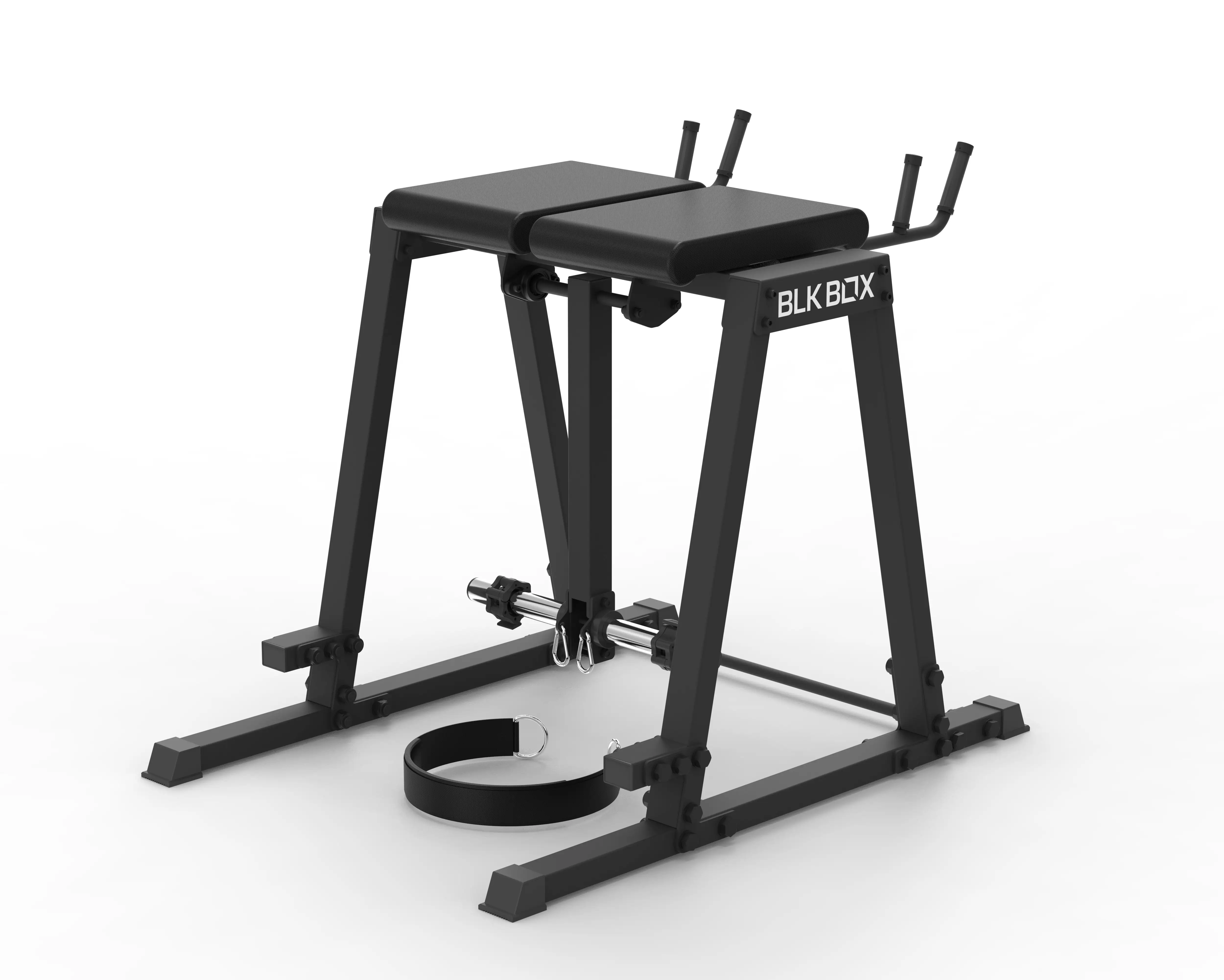 Reverse Hyper Extension - Image 4