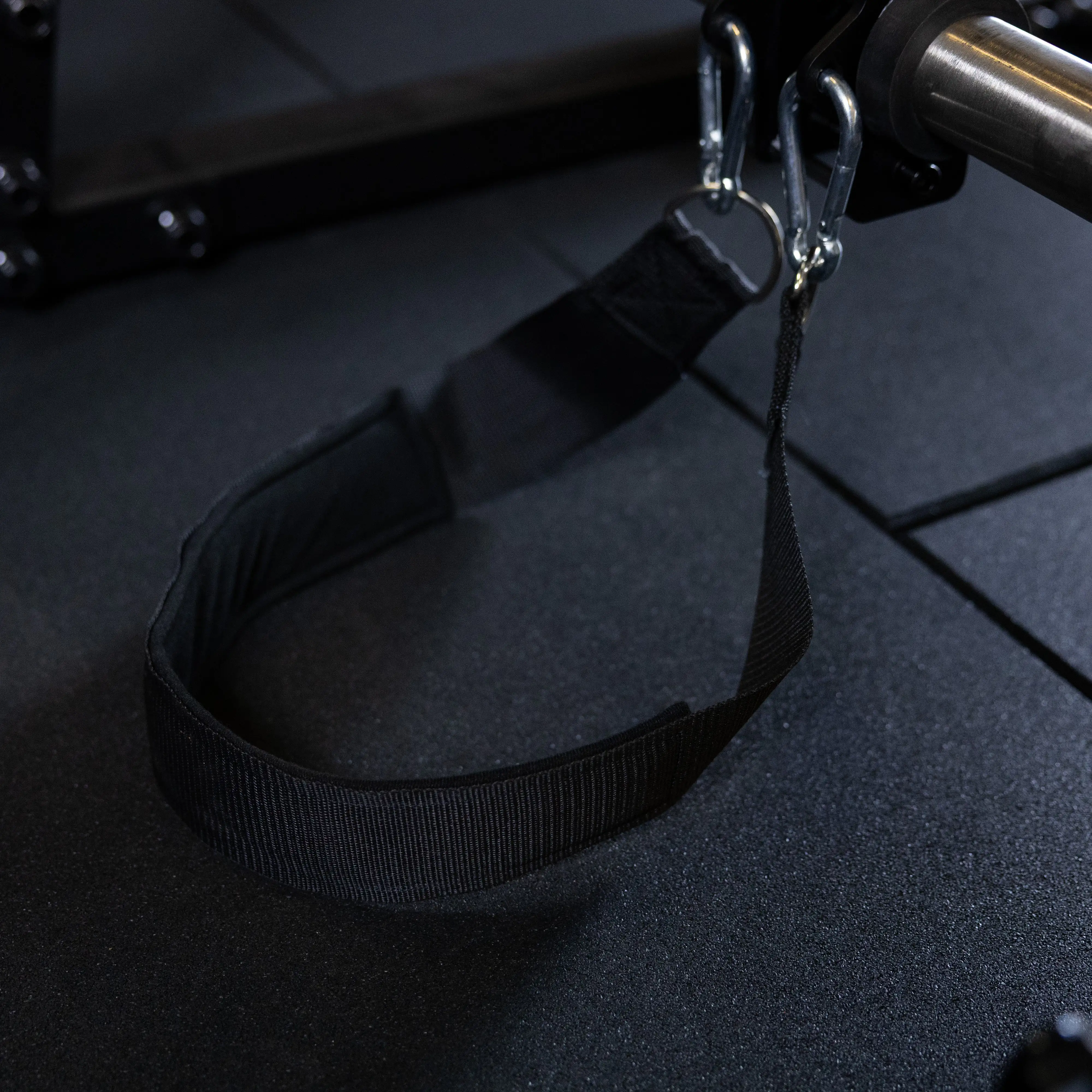 Reverse Hyper Extension - Image 7