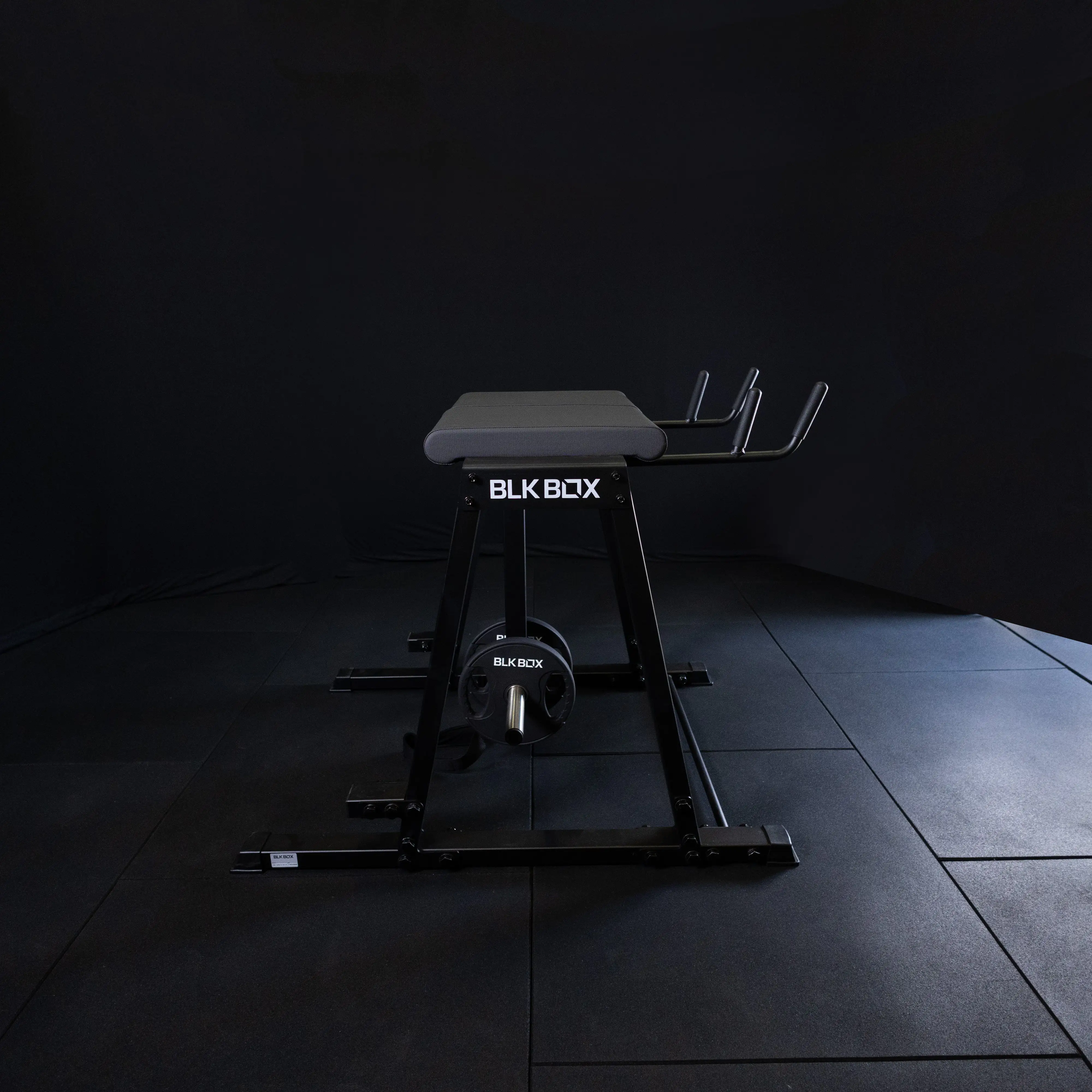 Reverse Hyper Extension - Image 8