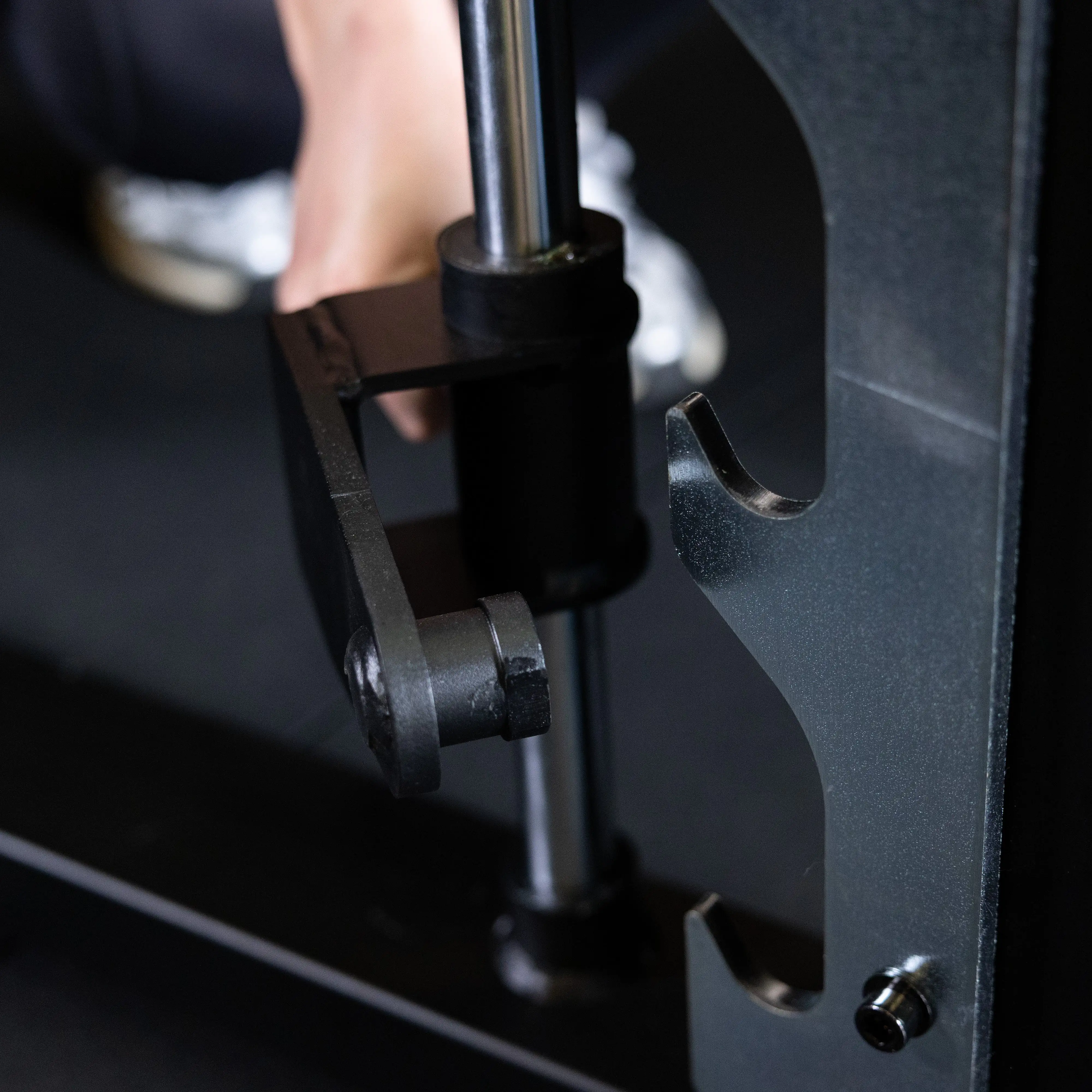 Smith Machine - Image 6