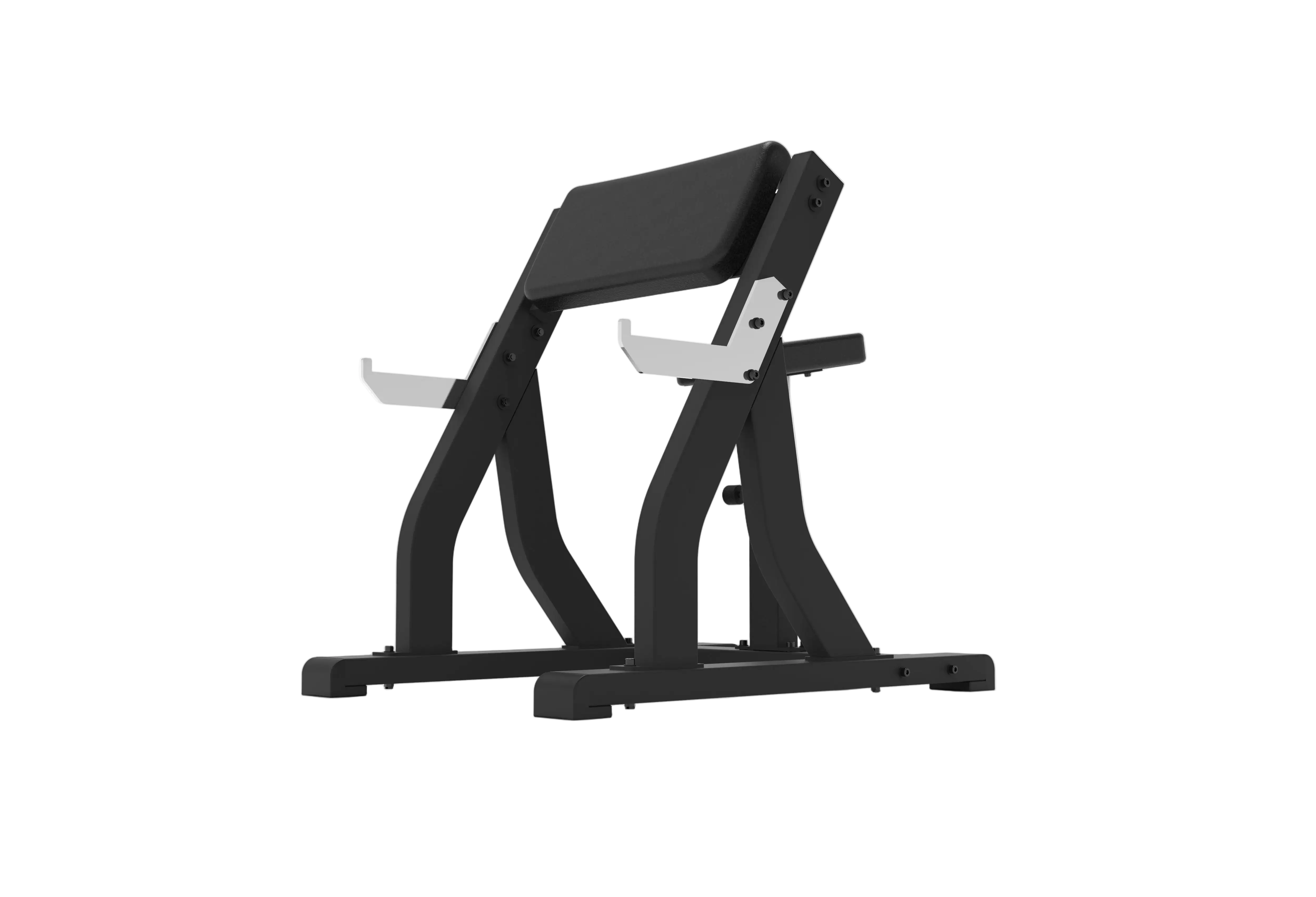 Preacher Curl Bench